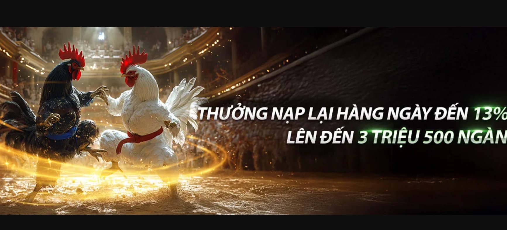 Nạp & Cược Đá Gà Thomo Hiệu Quả Với Thao Tác Đơn Giản Số 1