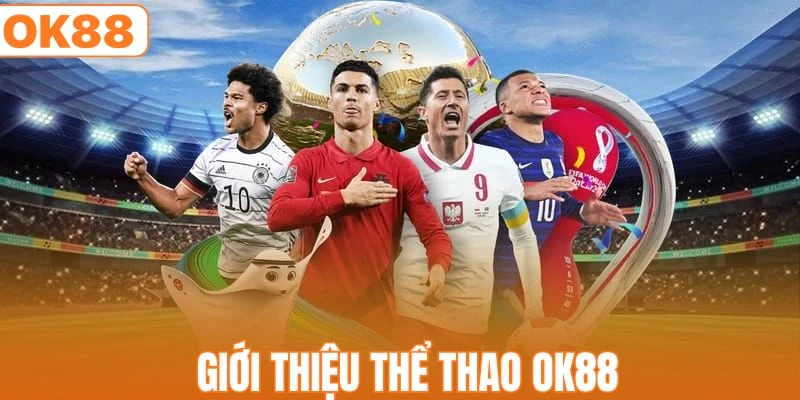 Thể Thao OK88 - Tham Gia Kèo Cược Hấp Dẫn Mỗi Ngày